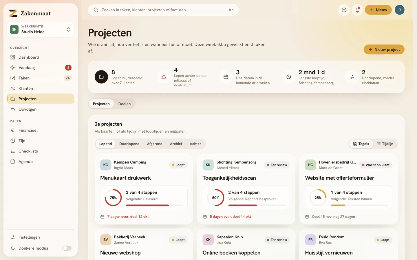 Het projectenscherm uit de demo: projecten per klant met hun uren en budget